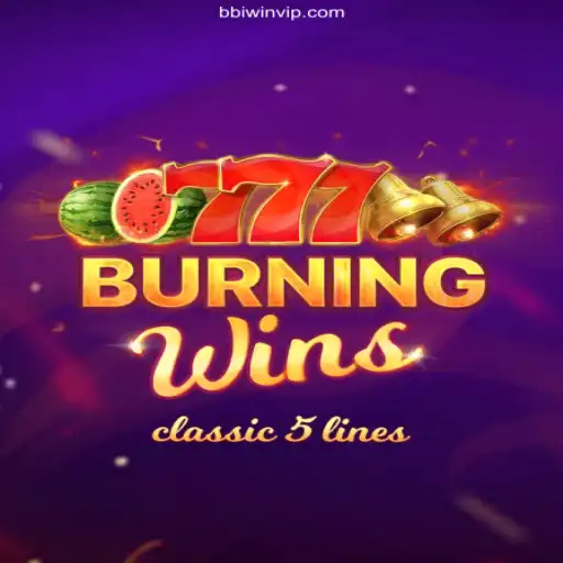 Exploring the Exciting World of BurningWins